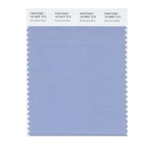  Pantone 16 3922 TCX Smart Color Swatch Card, Brunnera Blue 