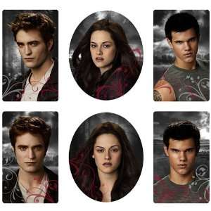  The Twilight Saga Eclipse Magnets Assorted Everything 