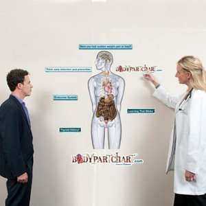 Endocrine System Sticky Anatomy Wall Chart   Extra Large
