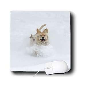  Kike Calvo Animals   Dogs playing in the snow   Mouse Pads 