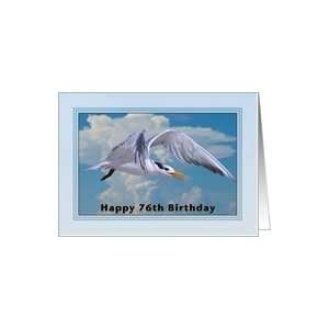  Happy Birthday, 76th, Royal Tern Bird Card Toys & Games