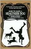 How to Have a Healthier Dog The Benefits of Vitamins and Minerals for 