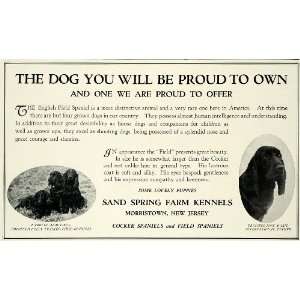  1929 Ad Sand Spring Farm Kennels Hunting English Field Spaniel Dog 