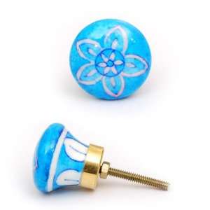   Cabinet Knobs with Pink and Blue Flower Design on Turquoise Background