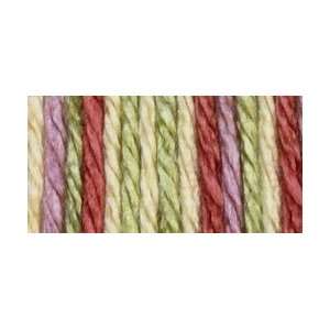  Bernat Satin Ombre Yarn Faded Glory 164105 5433; 6 Items 