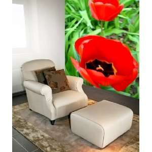   Wall Mural Decal Sticker Tulip Flowers 8ft.Tall JH147 