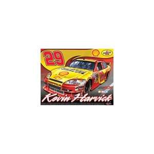  Kevin Harvick 2010 Car Ultra Decal: Sports & Outdoors