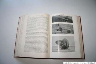 Brehms Tierleben Säugetiere 2 1914 gebund. rote Ausgabe  