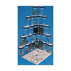 Biome Set, Marine, Set/24  Industrial & Scientific