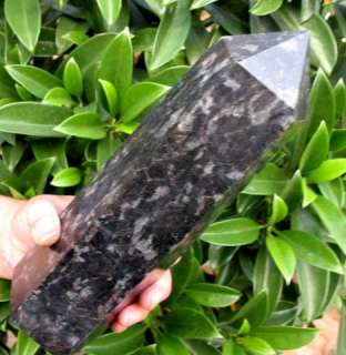 6lb NATURAL BLACK TOURMALINE CRYSTAL POINT Healing  