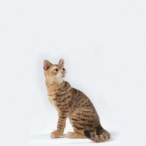   : Enesco Country Artists Bengal Cat Sitting Figurine: Home & Kitchen