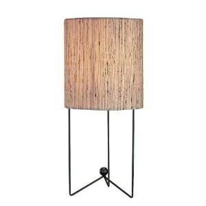 Lite Source LS 20775 Thina 15.5 Inch Tall Table Lamp, Black with Round 