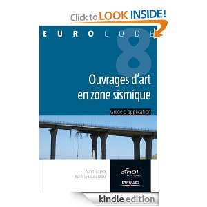 Ouvrages dart en zone sismique (Eurocode) (French Edition) [Kindle 