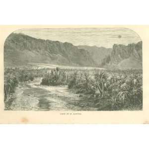   1878 Sahara Desert Oasis El Kantra Biskra Constantine 