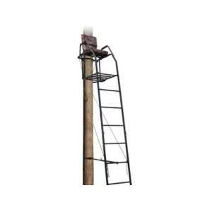  Big Dog Blue Tick 16 Ladder Treestand: Sports & Outdoors