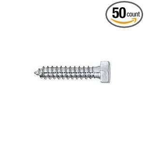 4X1 Hex Lag Bolt 18 8 Stainless Steel (50 count)  