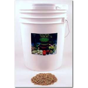   Sprouting Seeds   Lentils Seed For Sprouts / Soup   35 Lbs Home