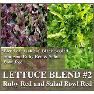   BLEND #2 ~ Lettuce seeds Ruby Red, Oakleaf, Black Seeded Simpson, Bowl