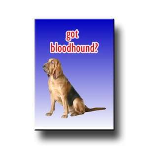  Bloodhound Got? Fridge Magnet: Everything Else