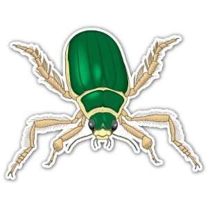  Cotinus Texana Beetle Insect Car Bumper Sticker Decal 4.5 