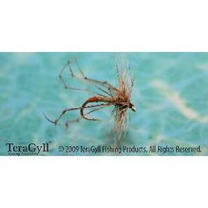  Daddy Long Legs Orange Tag: Sports & Outdoors
