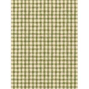   Green and Brown Wallpaper in A Stitch in Time