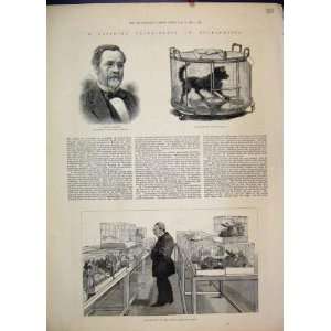   1884 Hydrophobia Louis Pasteur Ecole Normale Paris Old