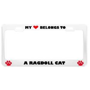 Ragdoll Cat Pet White Metal License Plate Frame Tag Holder