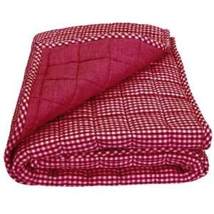  Tadpoles Classics Gingham Red   Coverlet: Baby