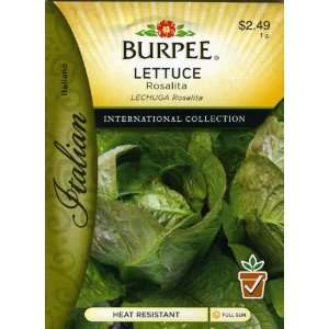  Burpee 69616 Italian   Lettuce, Head Rosalita Seed Packet 