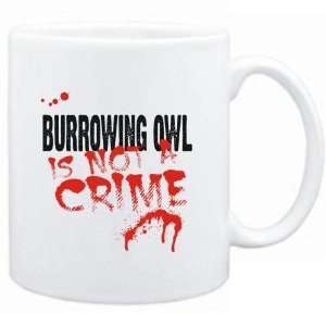   Being a  Burrowing Owl is not a crime  Animals