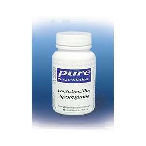  Lactobacillus Sporogenes 60C: Health & Personal Care