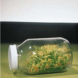 Glass Mason Jar, 1/2 Pint:  Industrial & Scientific