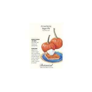    Botanical Interest   Pumpkin Sugar Pie: Patio, Lawn & Garden