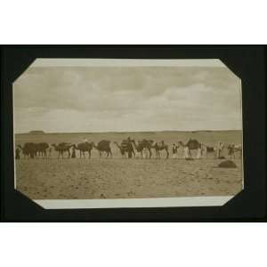 Camel caravan with handlers and passengers, Egypt 1913