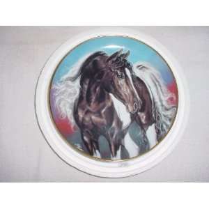  Spirit Wind by Susie Morton Collector Plate Everything 