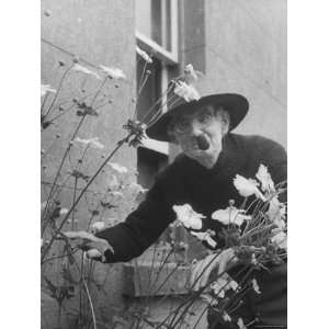  Irish Playwright Sean OCasey Admiring the Flowers in His 