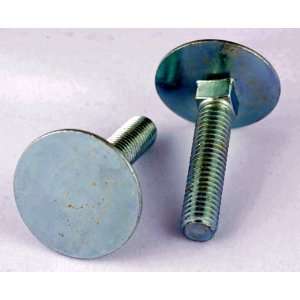  1/4 20 x 1 Elevator Bolts Zinc 100 Pack: Home Improvement