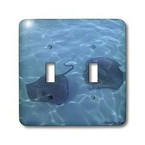Edmond Hogge Jr Fish   Cayman Island Stingrays   Light Switch Covers 