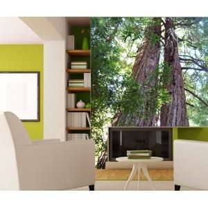  Wall Mural Decal Sticker Giant Redwood Trees #MMartin115 