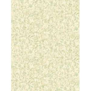  Wallpaper Steves Color Collection   All BC1580591: Home 
