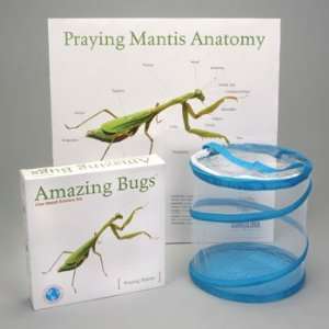 Praying Mantis Amazing Bugs Kit, Mantis Kit (with prepaid coupon 