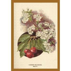   Buyenlarge Cherry Blossom Fruit 12x18 Giclee on canvas: Home & Kitchen