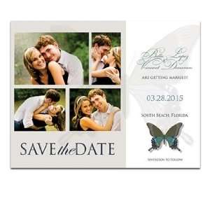  160 Save the Date Cards   Butterfly Taupe Aqua Horizon 