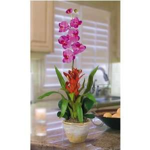 Alan 1021 OR Single Star Bromeliad Orchid Combo Silk Orchid 