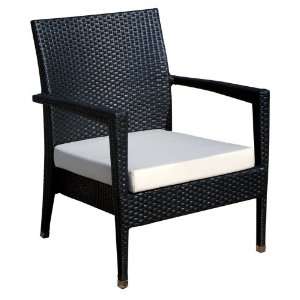  Source Outdoor Zen All Weather Wicker Lounge Chair: Patio 