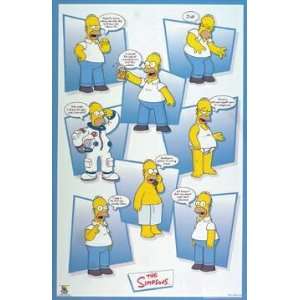  The Simpsons ~ Homer ~ Classic Quotes ~ Poster Print 