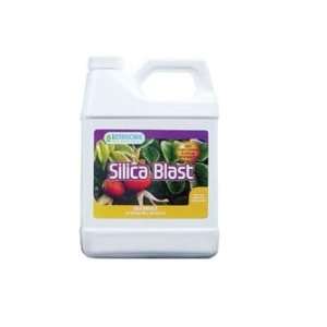  Silica Blast, quart Patio, Lawn & Garden