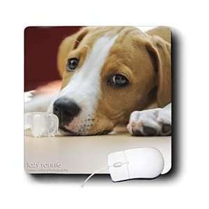   Dog   Tired 2 months old puppy with bone toy   Mouse Pads: Electronics