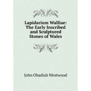   Inscribed and Sculptured Stones of Wales John Obadiah Westwood Books